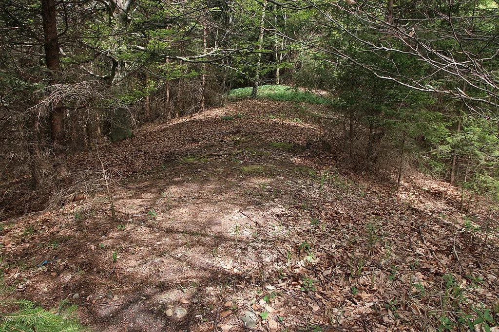 Der Burgstall auf dem Stoffersberg (Oberer Riedberg).