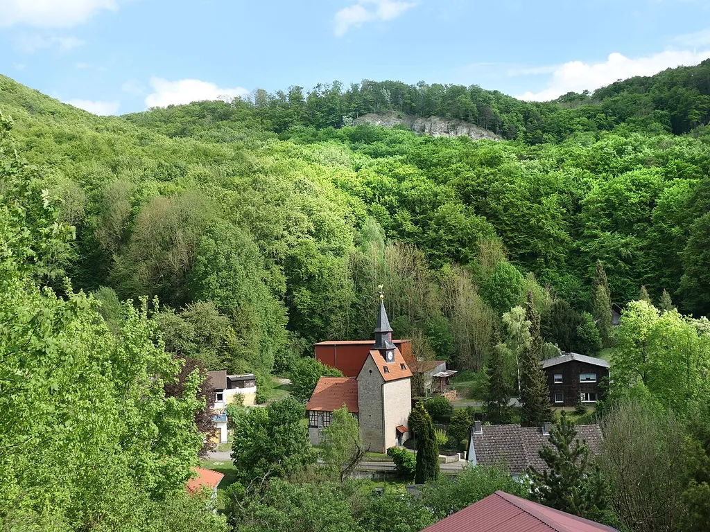 Die „Hessische Schweiz bei Meinhard“ im nordhessischen Werra-Meißner-Kreis, mit den Wäldern der Hörne, des Hohesteins und der Gobert, wurde im Jahr 1989 zu einem Naturschutzgebiet erklärt. Durch die Unterschutzstellung sollten ein „Bergsturz, Kalkfelsfluren, Kalksümpfe, Magerrasen, Blockschuttwälder und großflächige Laubholzbestände“, mit den hier beheimateten „seltenen und stark gefährdeten Pflanzen- und Tierarten“ erhalten und langfristig gesichert werden. Mit dem benachbarten Naturschutzgebiet „Kalkklippen südlich des Iberges“ wurde das Gebiet auch als Teil des Fauna-Flora-Habitat-Gebiets „Kalkklippen der Gobert“ in das europaweite Netz besonderer Schutzgebiete „Natura 2000“ integriert. In dem Naturschutzgebiet liegt vollständig das Naturwaldreservat Hohestein. Die Hessische Schweiz gehört auch zum „Grünen Band“ und mit Teilen zu dem Vogelschutzgebiet „Felsklippen im Werra-Meißner Kreis“.