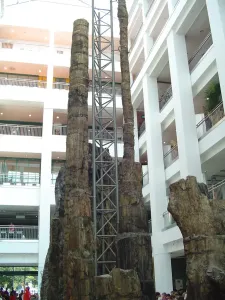 Museum of Natural History Chemnitz