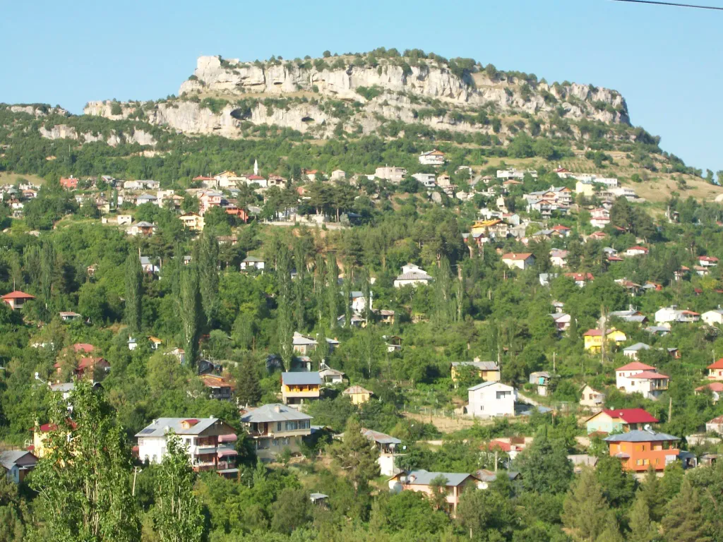 Çamlıyayla