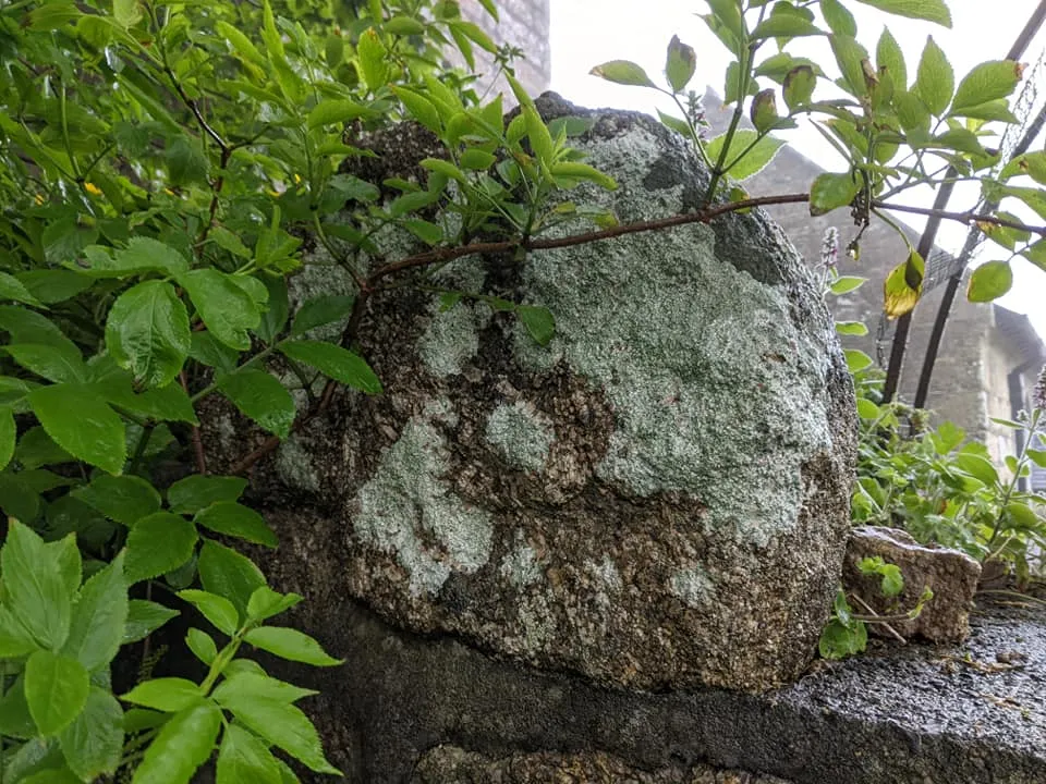 Old Wayside Cross on the wall of Sancreed churchyard