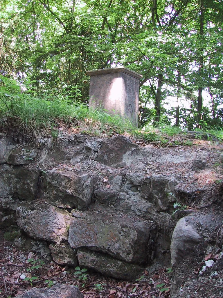 Ruine Burg Manegg, Leimbach.