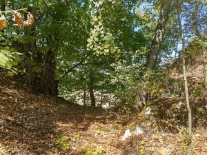 Burg Salzbühl
