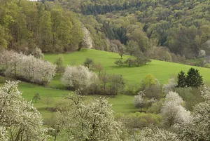 LSG innerhalb des Naturparks Spessart (ehemals Schutzzone)