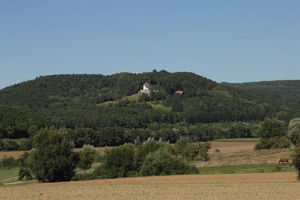 Burgstall Niedersenftenberg - Ansicht des Burgbergs aus südöstlicher Richtung