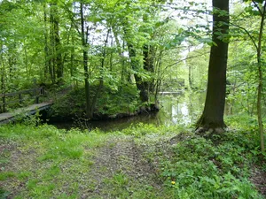Turmhügelburg Woja