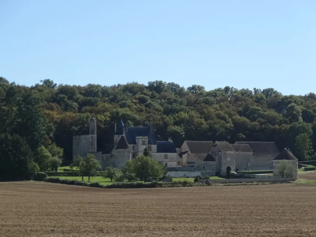Château de Faulin