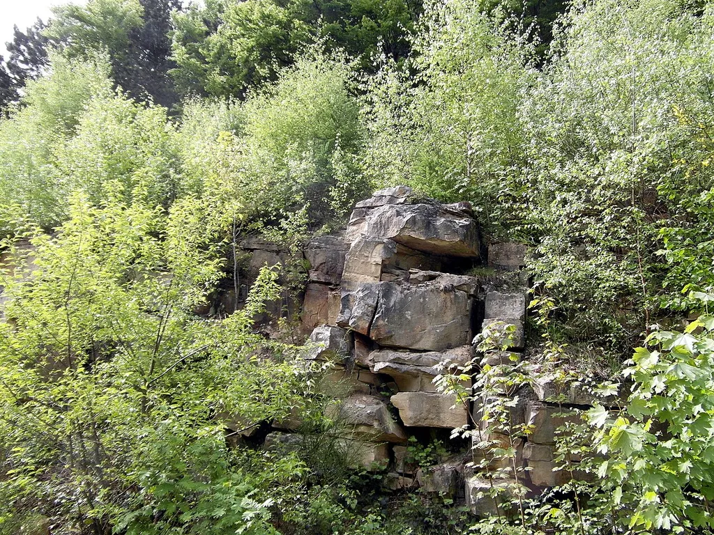 Gesteinsschichten am Wegesrand im Landschaftsschutzgebiet LSG SHG 00017 Süd-Deister