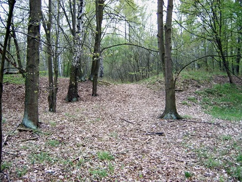 Burgwall mit Tor