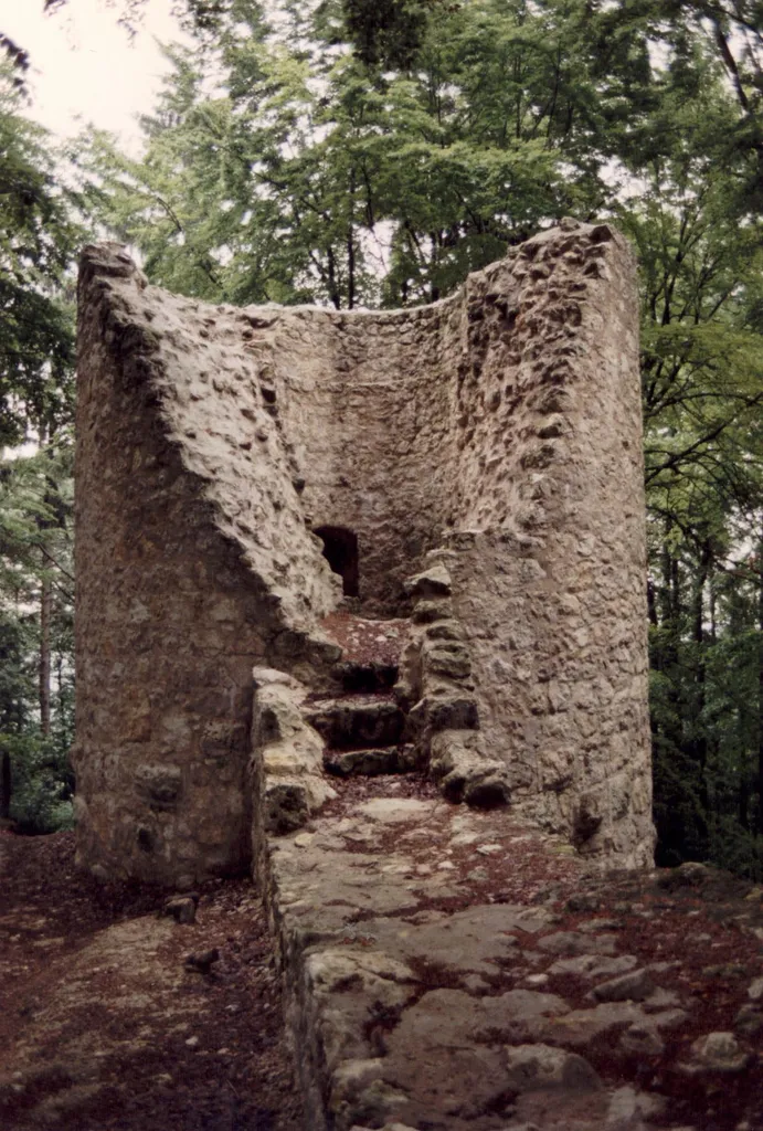 Burg Ehrenfels