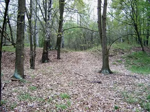 Burgwall Bärwalde