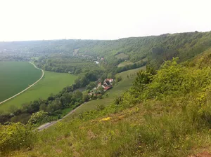 Saale (Burgenlandkreis)