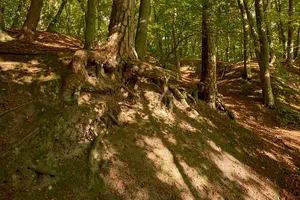 Elbe mit Hohem Elbufer von Tesperhude bis Lauenburg mit angr. Fl.