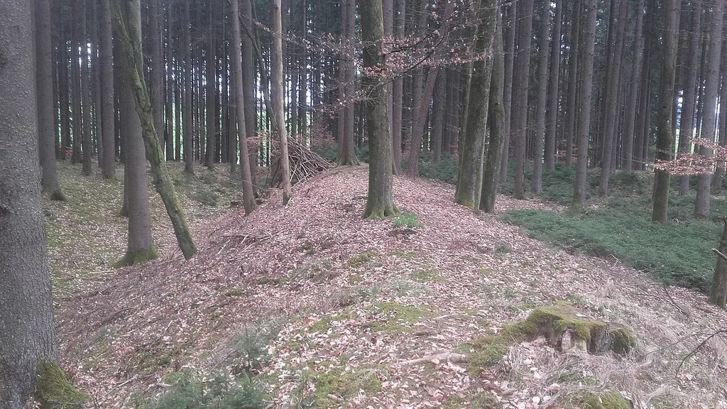 Brennburg bei Willmatshofen - westlicher Wall