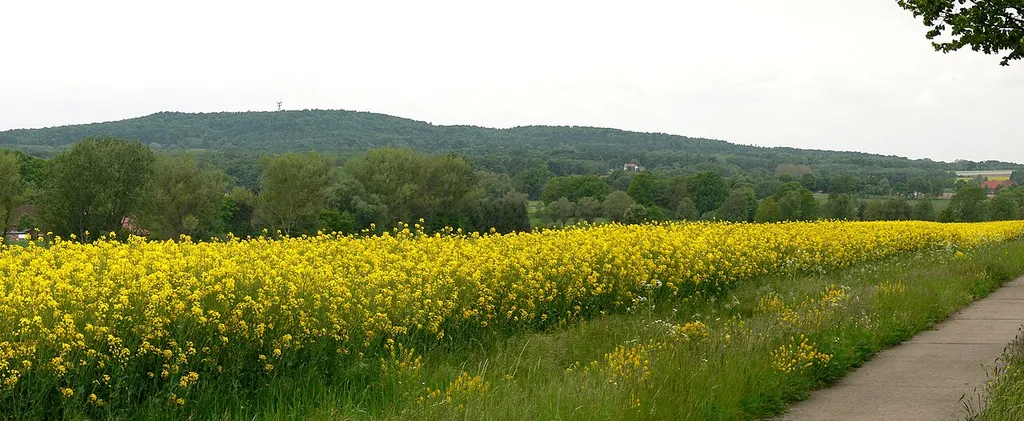 Rehburger Berge mit Brunnenberg von Winzlar gesehen