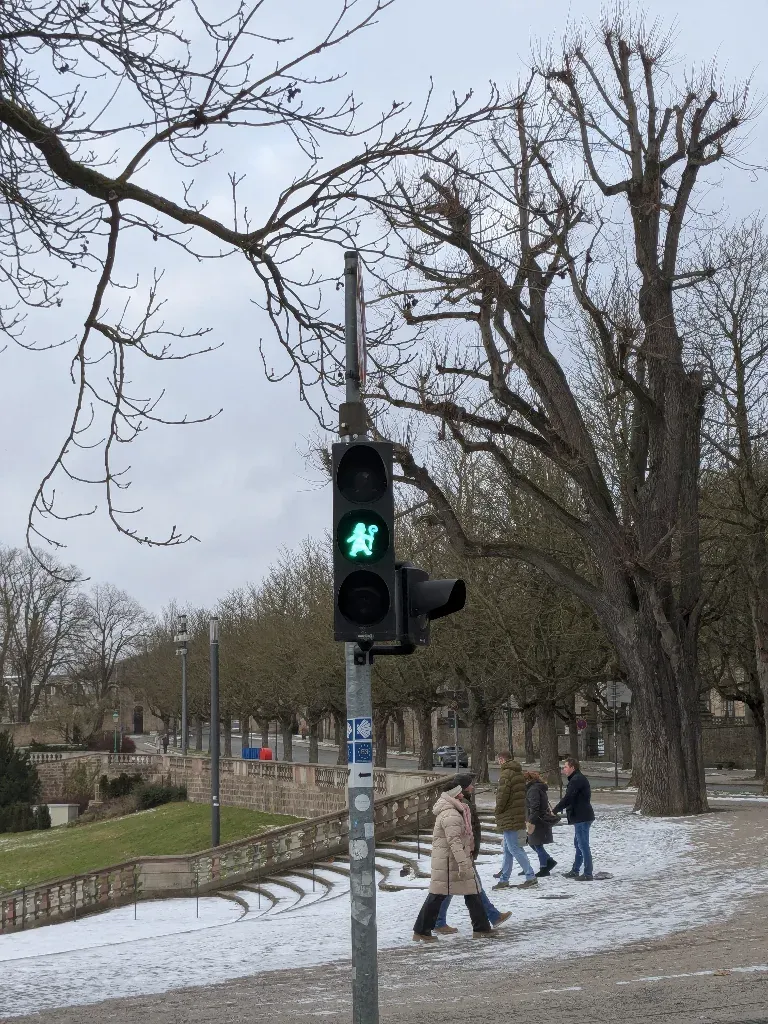 Grünes Ampelfrauchen am Dom von Fulda
