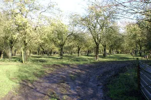 Kenn Church, Kenn Pier & Yew Tree Farm SSSI