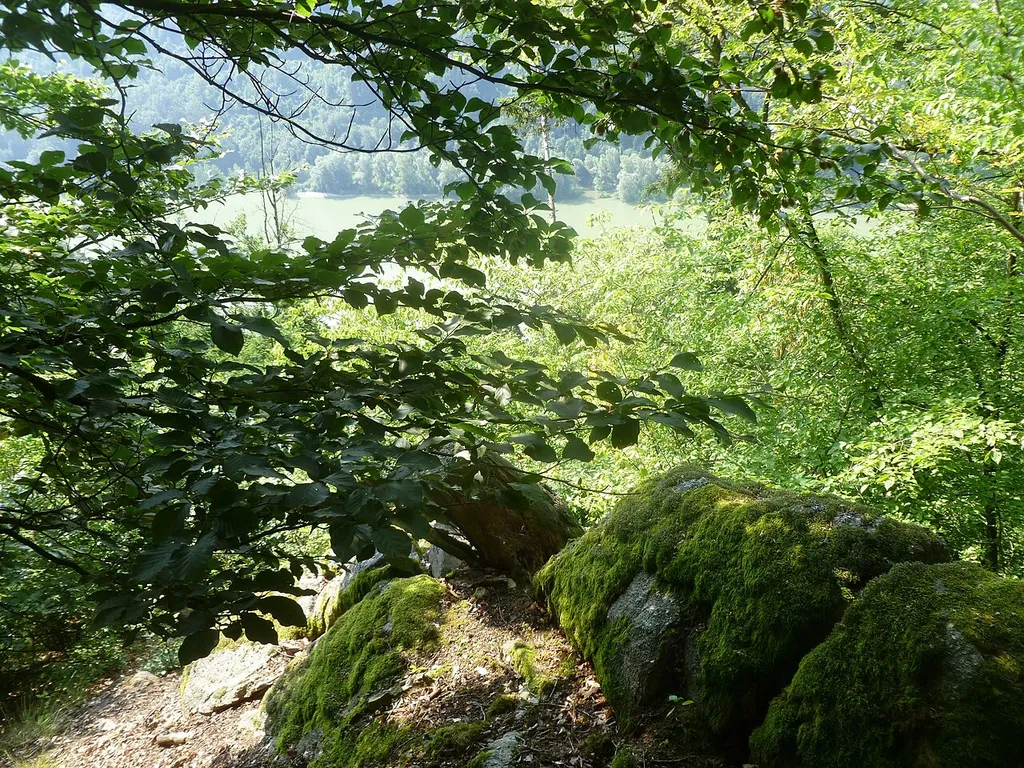 Burgstall Winzberg