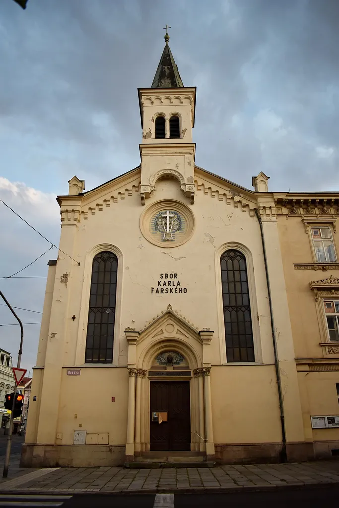 Strom života Husově ulici v Plzni.