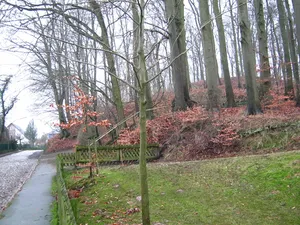 Burg Rönneburg