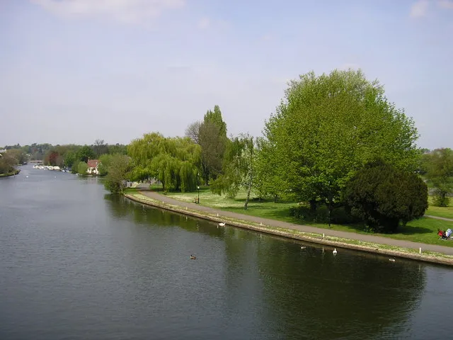 View from Reading Bridge. The Thames and Caversham Meadow seen from Reading Bridge. Since this picture was taken, Chritchurch Bridge (a cycle and pedestrian bridge) has been built.