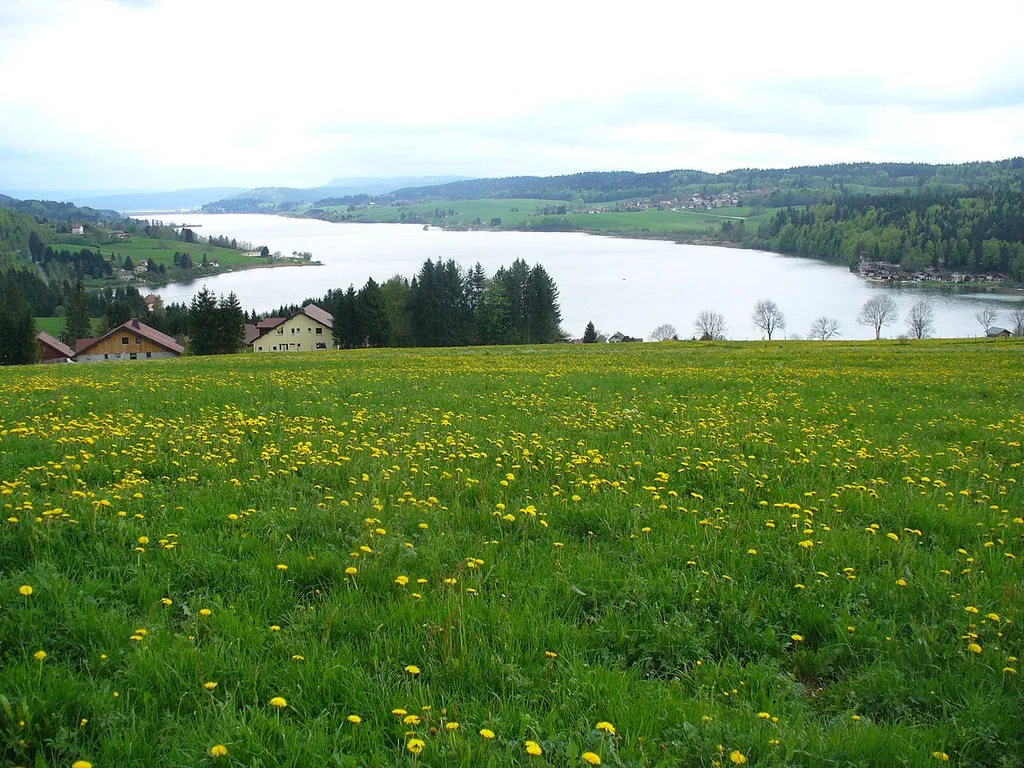 Vue du lac de Saint-Point depuis la partie nord du lac.