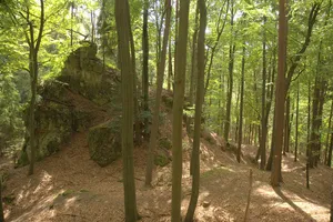Burgstall Im alten Haus