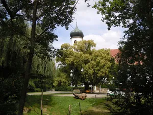 Linde bei Stephanskirche