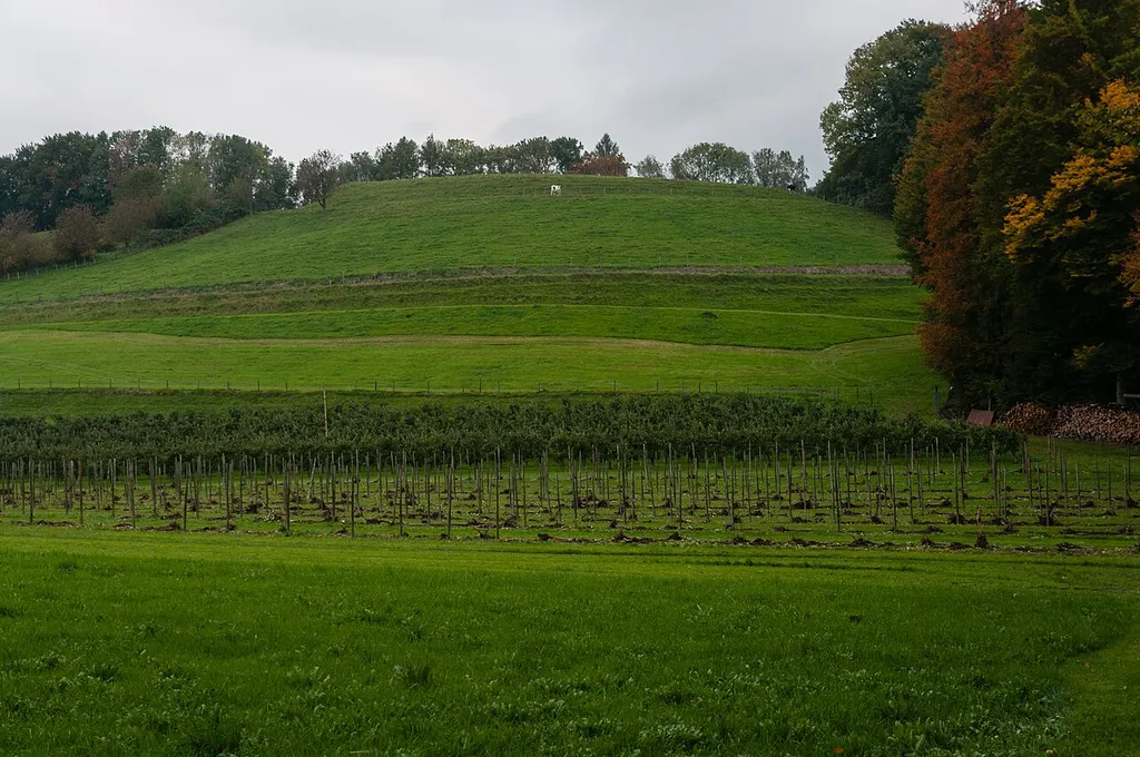 Place of the demolished castle Lenensburg, Kressbronn-Betznau, county Bodenseekreis, Germany