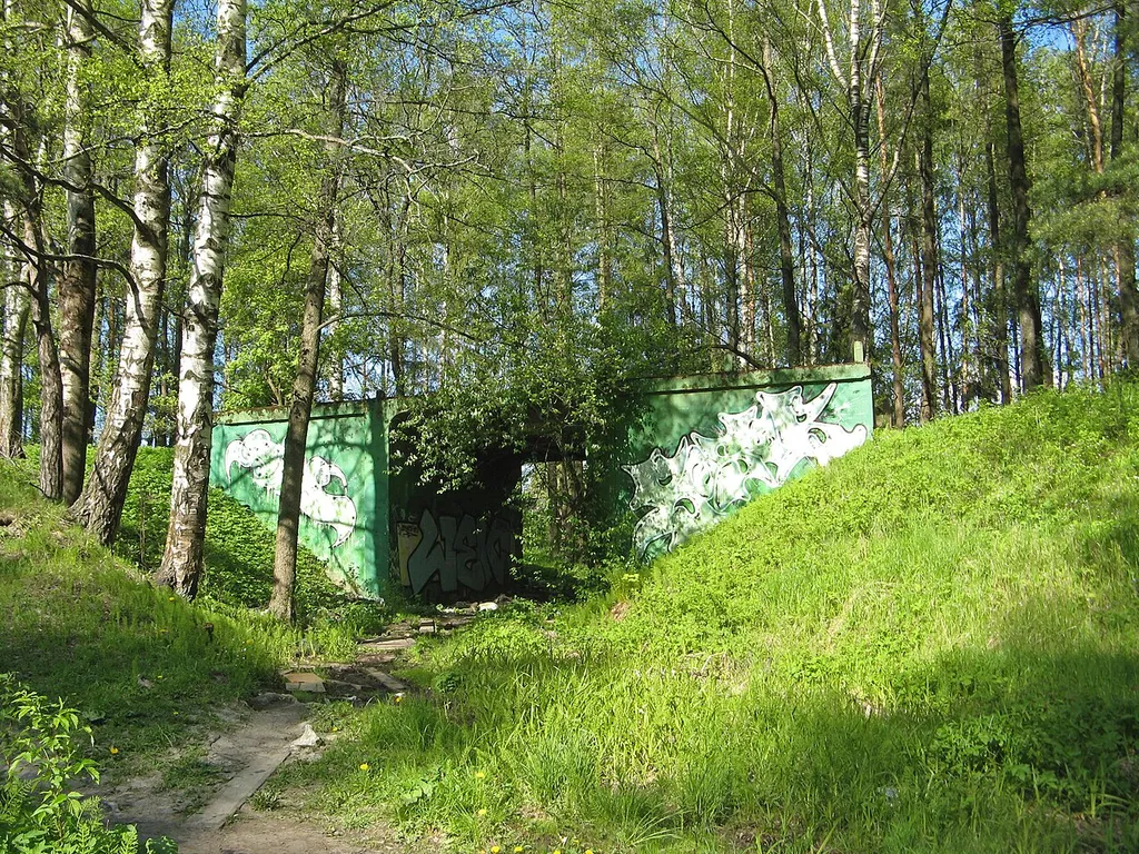 ORANEL bridge No2 (Martyshkino, Shishkin street)