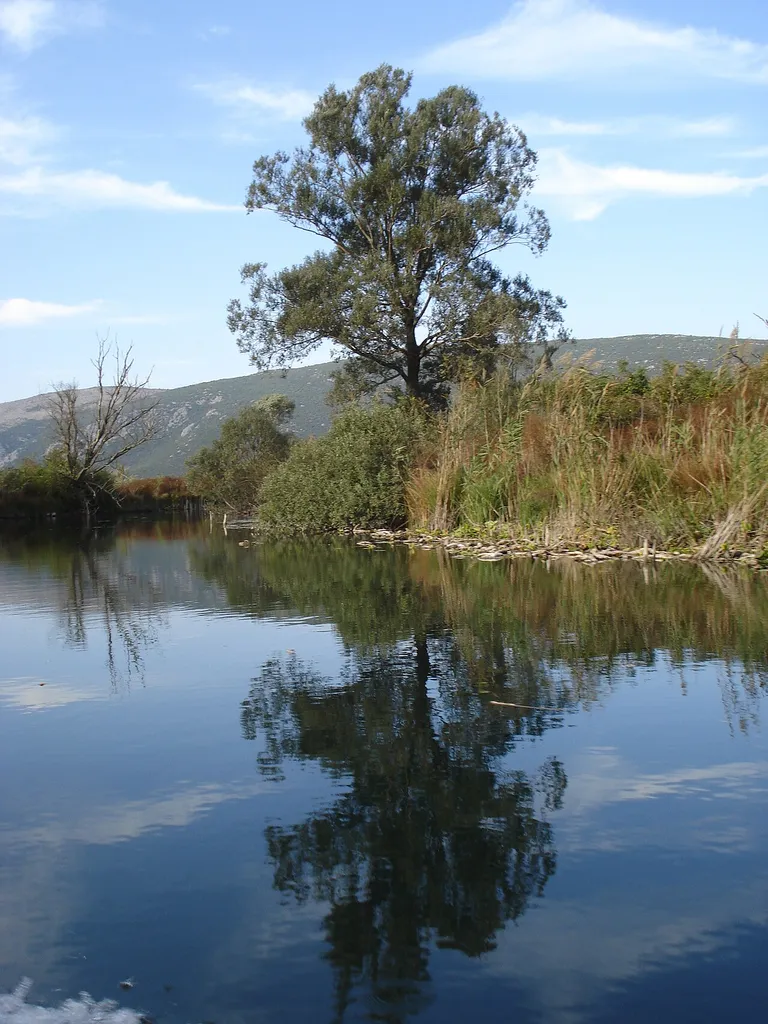 Hutovo Blato Nature park