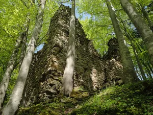 Jagdburg castle ruin