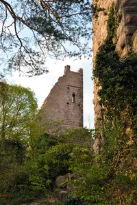Château de Dagsbourg