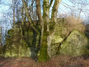 Burgruine Braunstein
