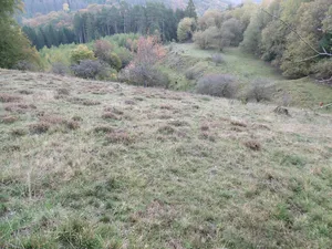 An der Rösenbecker Burg