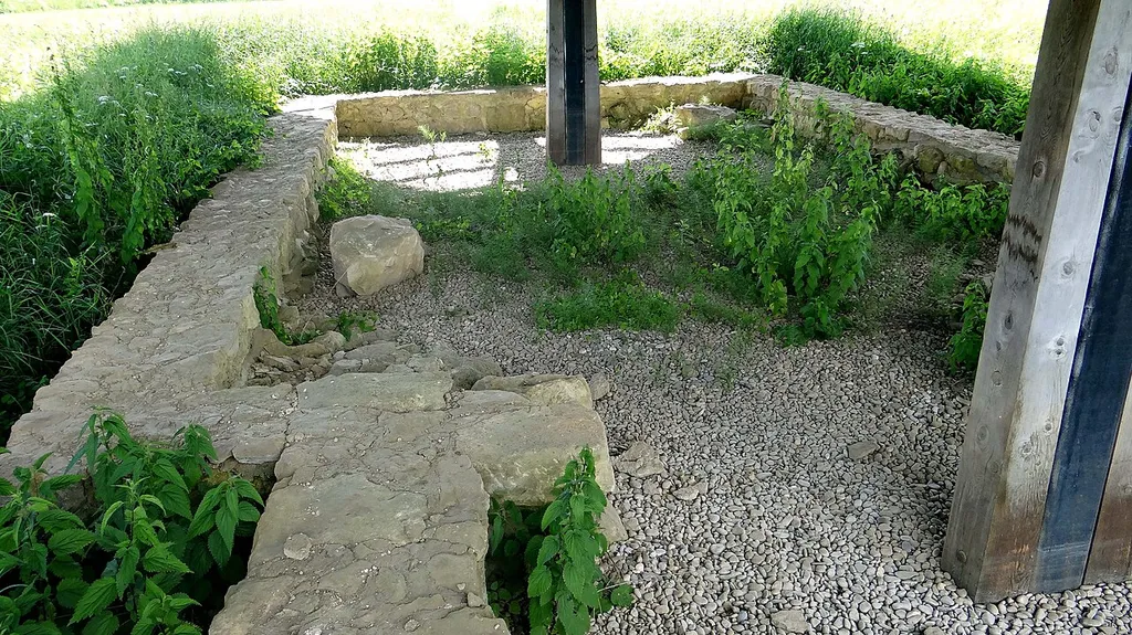 Ruševine trške cerkve v Drami 2013