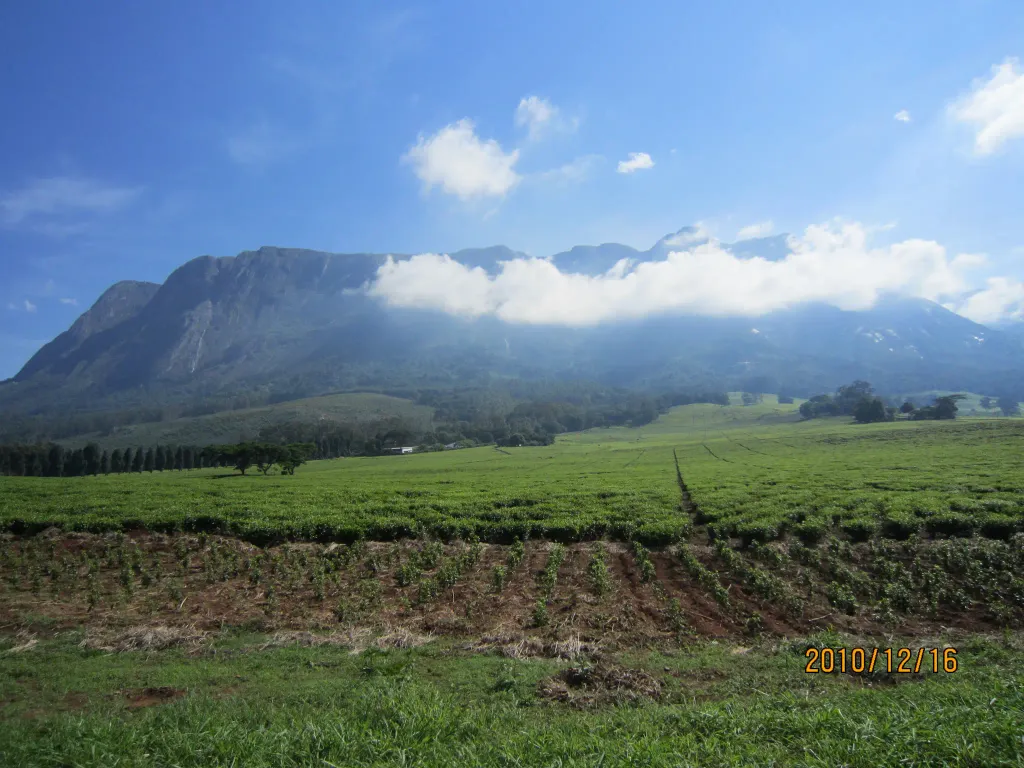 Mulanje