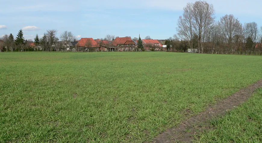 Ackerfläche mit Ringwall in Wassel