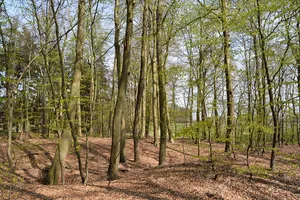 Burganlage bei der Pulvermühle