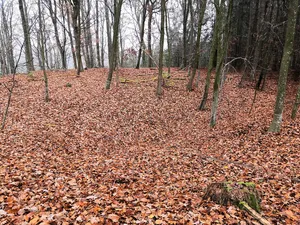 Burgstall Buschstellinger