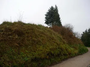Burgwall Tessin