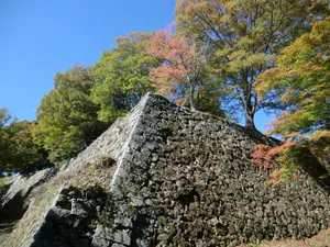 Takatori Castle