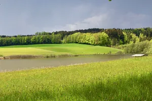 Vogelfreistätte Eggelburger See