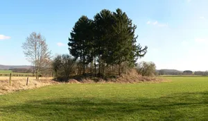 Burghügel bei Messenkamp