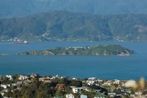 Matiu / Somes Island