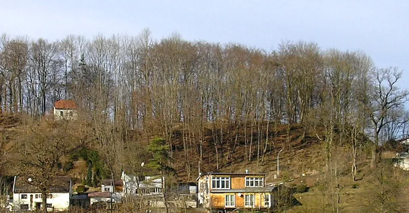 Burgstall Wildenroth (Gemeinde Grafrath, Gemarkung Wildenroth, Landkreis Fürstenfeldbruck, Oberbayern). Der Burgstall auf der Amperleite. Eigene Aufnahme, Jan. 2008 / Former Wildenroth castle near Grafrath (Landkreis Fuerstenfeldbruck, Upper Bavaria, Germany). The castle hill above the Amper river. Own photo, Jan. 2008