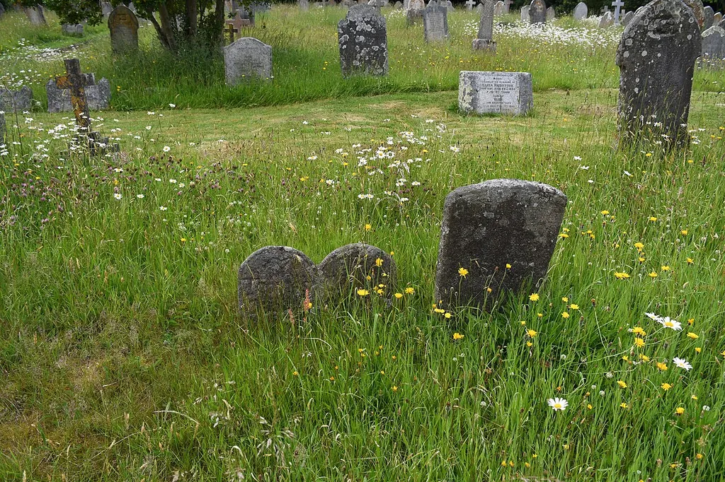 South Tawton in Dartmoor