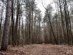 Whitchurch Conservation Area