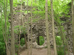 Medieval castle ruins of Niederwindegg