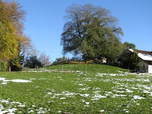 Burgstall Eulenschwang